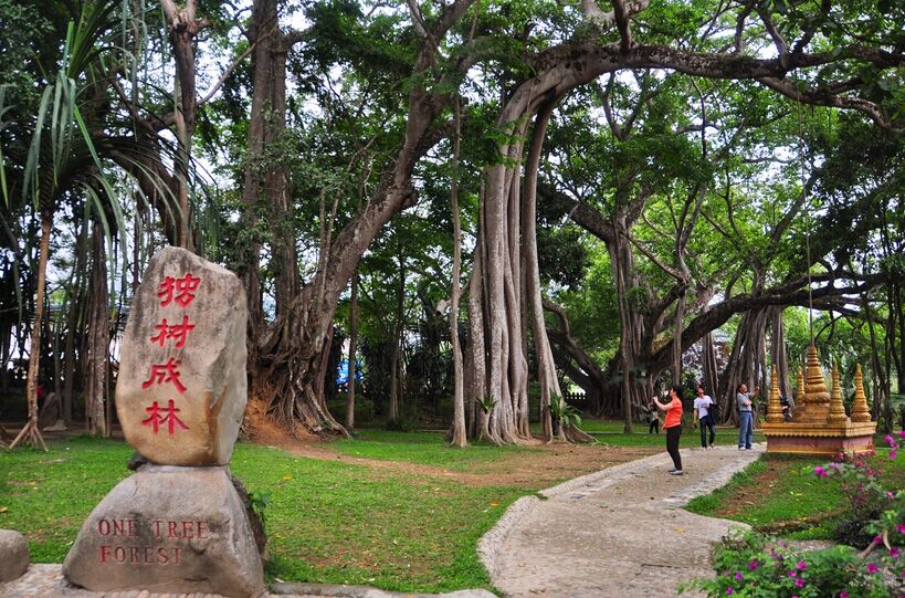 大理、騰沖、芒市雙飛6日